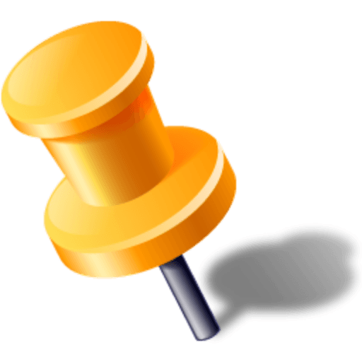 Pin